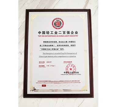 波頓集團(tuán)榮獲“中國輕工業(yè)二百強企業(yè)”稱號